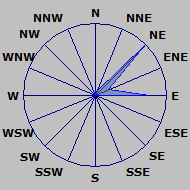 Wind Rose